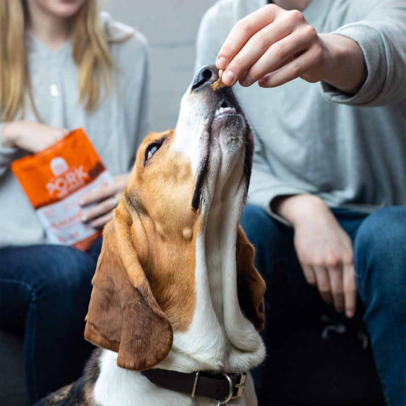 Open Farm Dehydrated Cod Skin Grain - Free Dog Treats, One - Ingredient Gently Cooked Pacific Fish Recipe with No Artificial Flavors or Preservatives, 2.25 oz