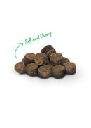 Open Farm Dehydrated Dog Treats, Gently Cooked Recipe with Natural Simple Ingredients and No Artificial Flavors or Preservatives (1 Pack Training Treats Beef)