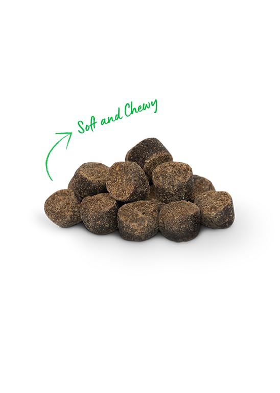 Open Farm Dehydrated Dog Treats, Gently Cooked Recipe with Natural Simple Ingredients and No Artificial Flavors or Preservatives (1 Pack Training Treats Beef)