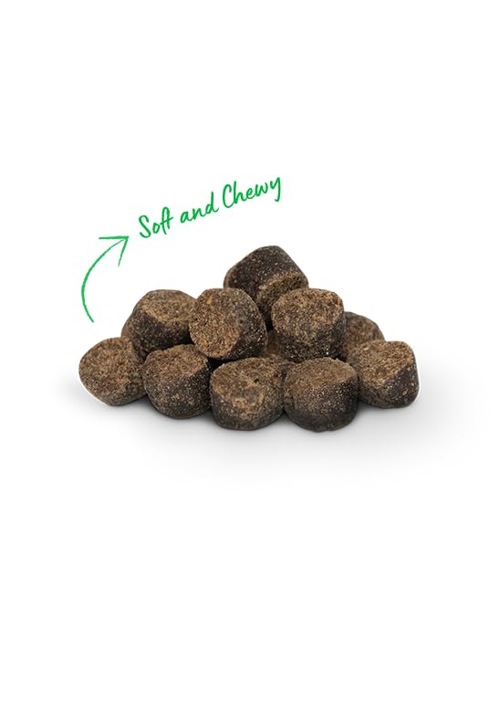 Open Farm Dehydrated Dog Treats, Gently Cooked Recipe with Natural Simple Ingredients and No Artificial Flavors or Preservatives (1 Pack Training Treats Turkey)