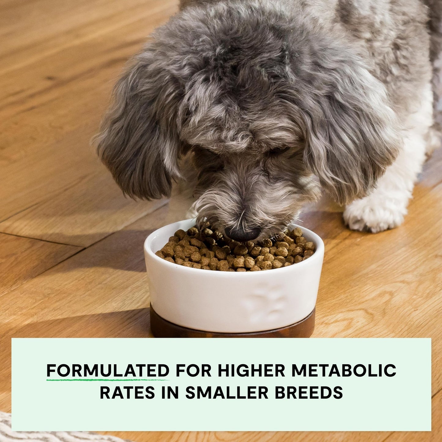 Open Farm, Grain - Free Dry Dog Food for Small Breeds, High - Protein Kibble, Sustainably & Ethically Sourced Ingredients, Non - GMO Veggies & Superfoods, Chicken & Turkey Recipe for Small Dogs, 4lb Bag