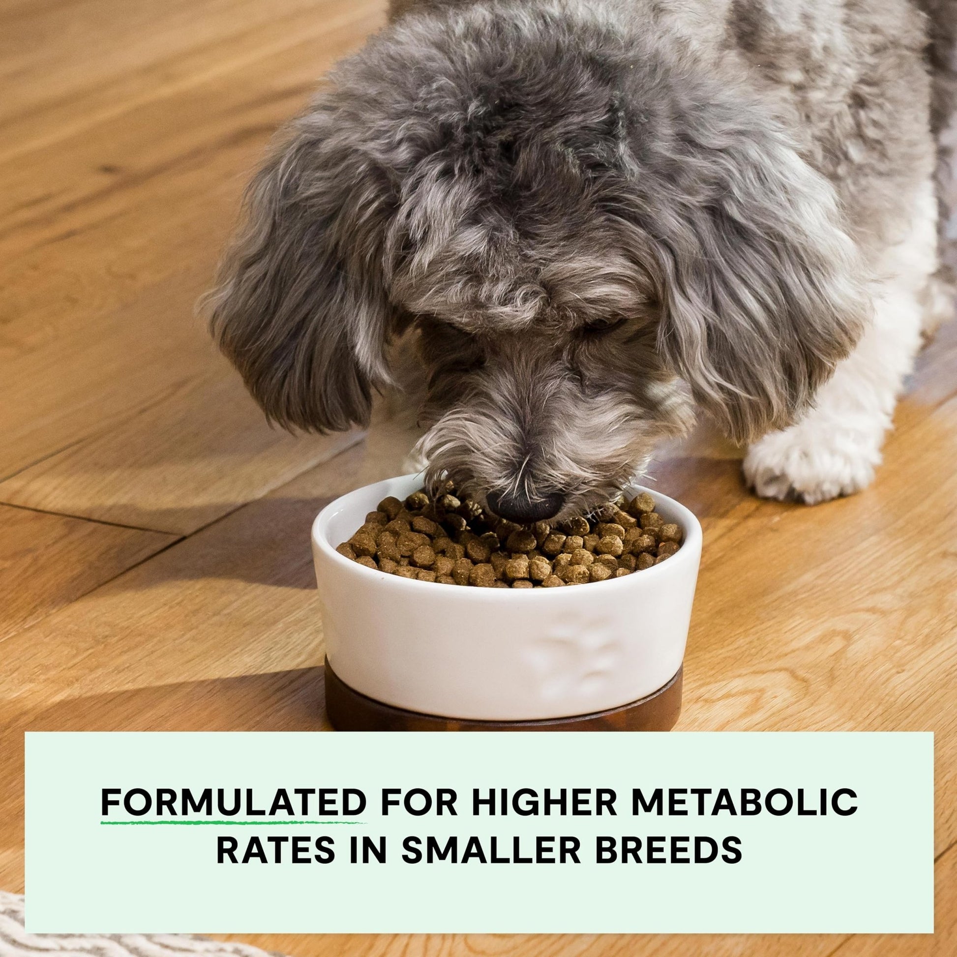 Open Farm, Grain - Free Dry Dog Food for Small Breeds, High - Protein Kibble, Sustainably & Ethically Sourced Ingredients, Non - GMO Veggies & Superfoods, Chicken & Turkey Recipe for Small Dogs, 4lb Bag