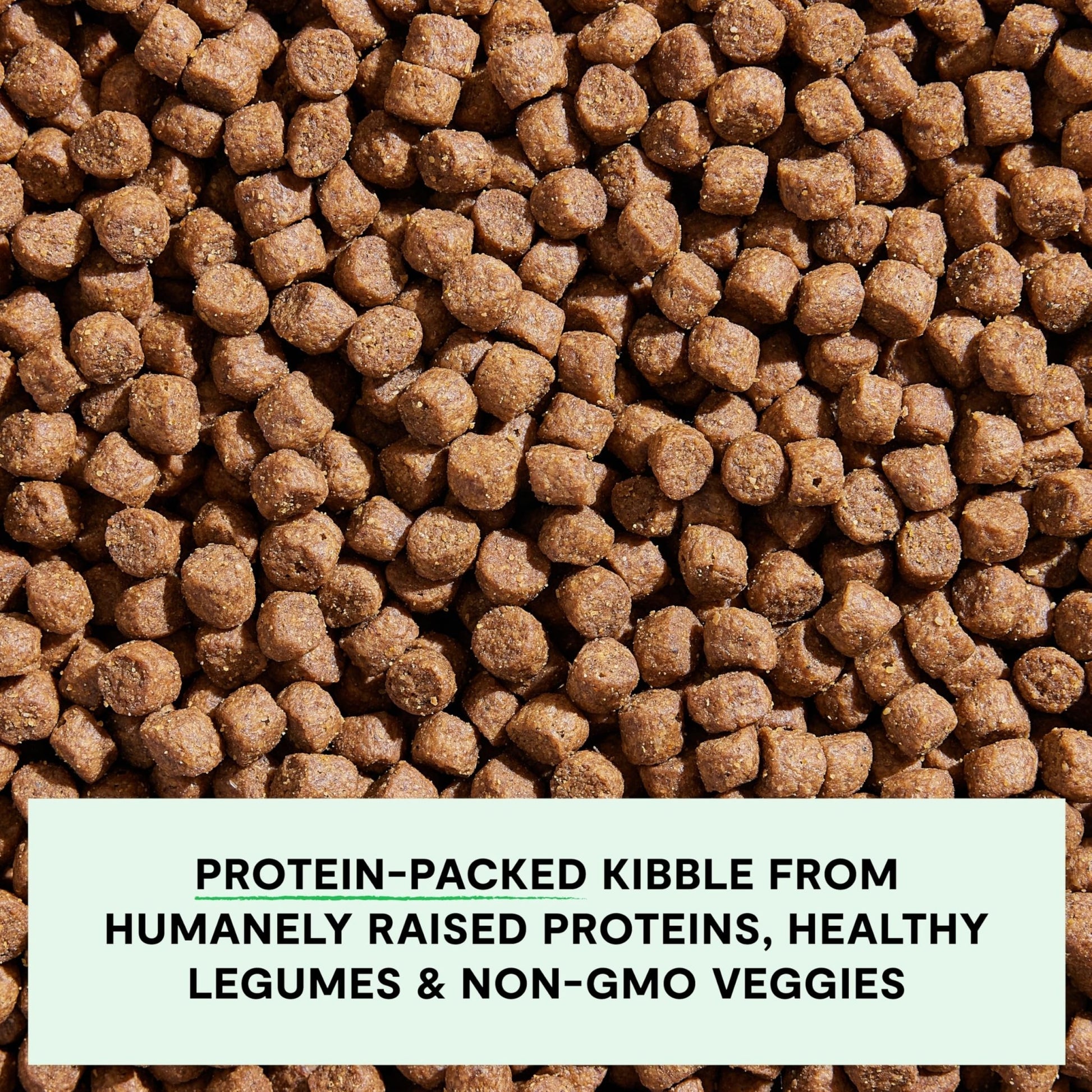 Open Farm, Grain - Free Dry Dog Food for Small Breeds, High - Protein Kibble, Sustainably & Ethically Sourced Ingredients, Non - GMO Veggies & Superfoods, Chicken & Turkey Recipe for Small Dogs, 4lb Bag