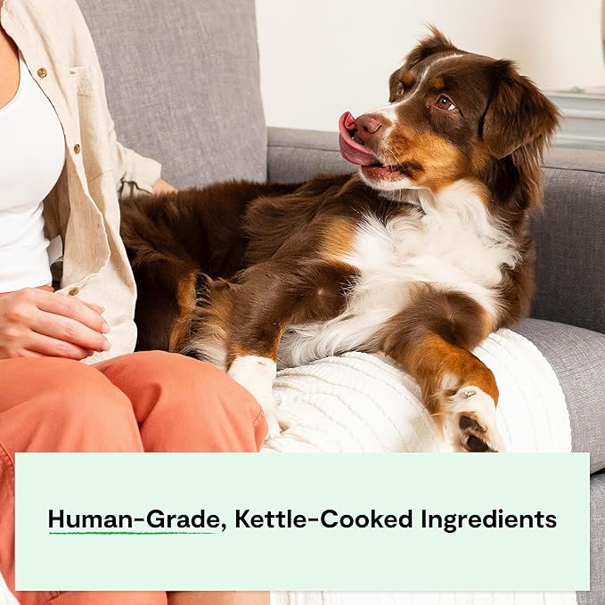 Open farm homestead Turkey rustic stew 12.5oz wet dog food