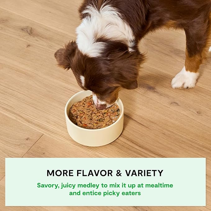Open farm homestead Turkey rustic stew 12.5oz wet dog food