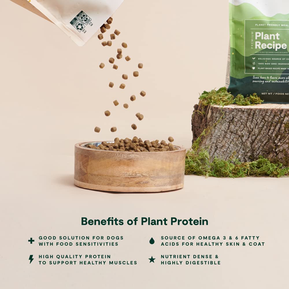 Open Farm Kind Earth Plant - Based Dry Dog Kibble – Natural Vegan Dog Food for Optimal Nutrition (3.5 lb)