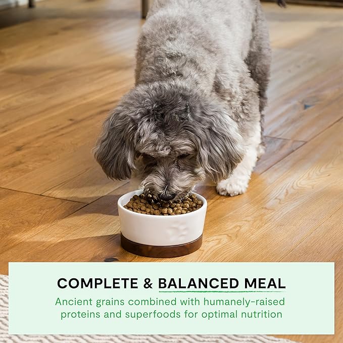 Open farm small breed 4lbs chicken Turkey quinoa