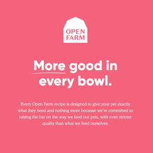 Open Farm Wild - Caught Salmon Grain - Free Dry Cat Food - No Artificial Flavors or Preservatives - 4 lbs