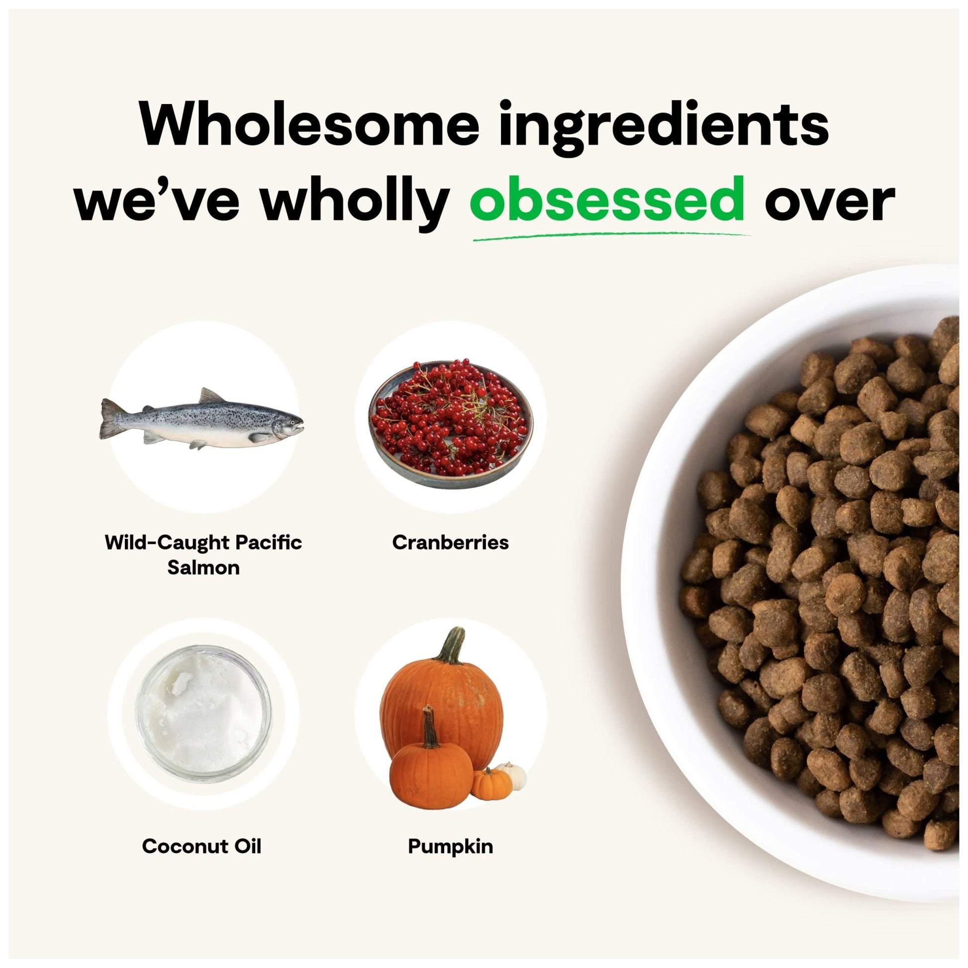 Open Farm Wild - Caught Salmon Grain - Free Dry Dog Food – Fresh Pacific Salmon Recipe with Non - GMO Superfoods (4 lbs)