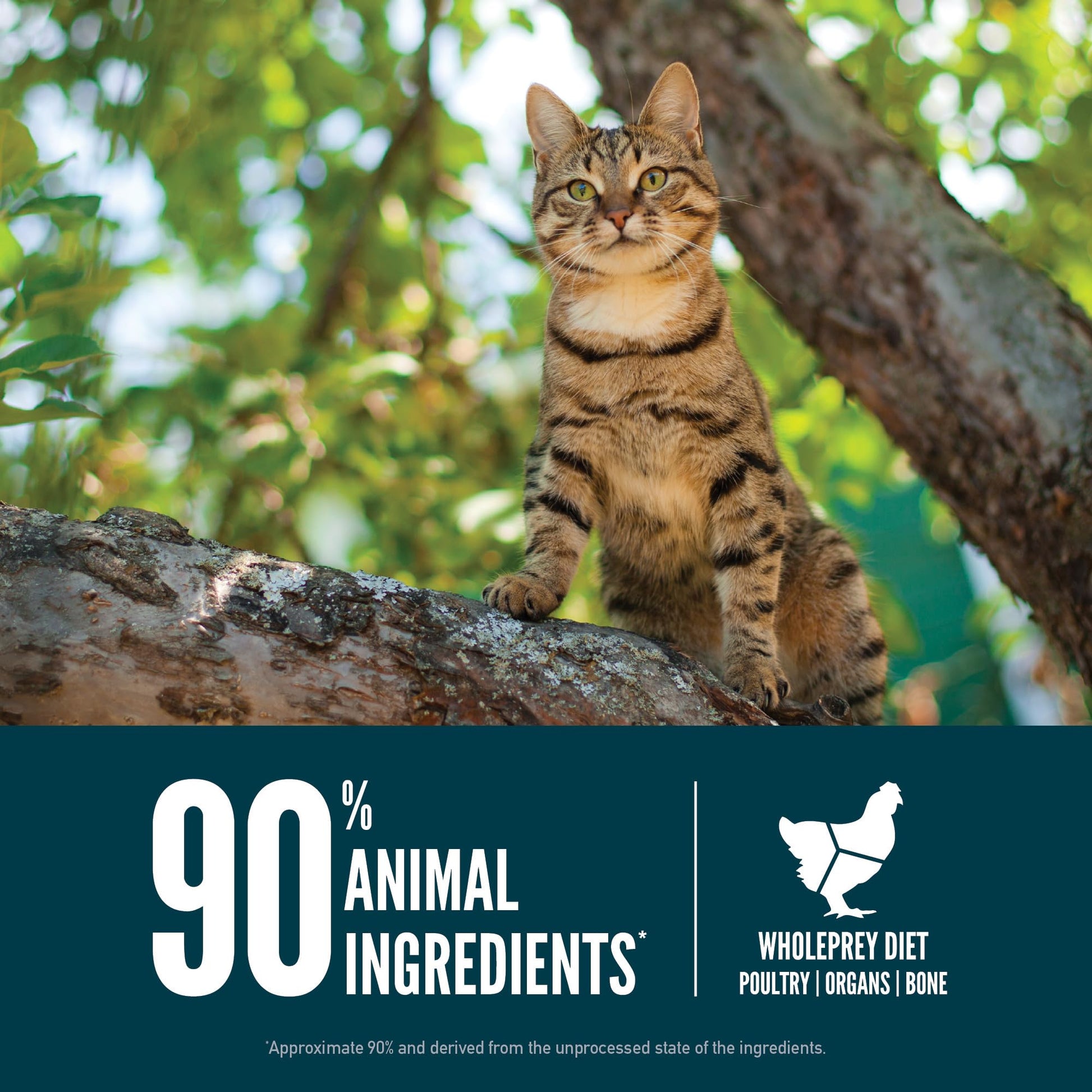 Orijen Guardian 8 Dry Cat Food, Grain Free Cat Food For Adult Cats, With Chicken, Salmon And Rabbit, 4Lb