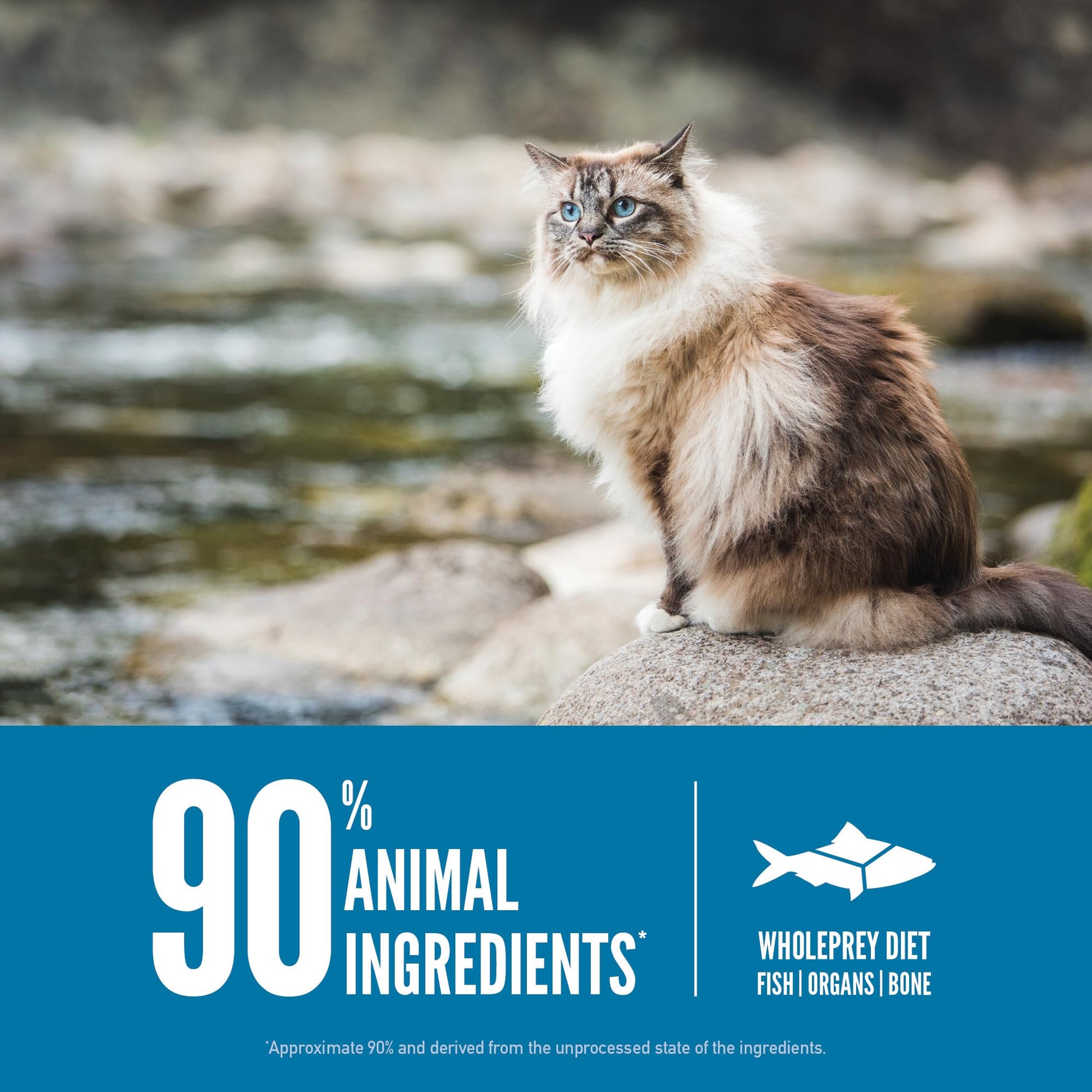 Orijen Six Fish Dry Cat Food, Grain Free Cat Food For All Life Stages, With Wholeprey Ingredients, 4Lb