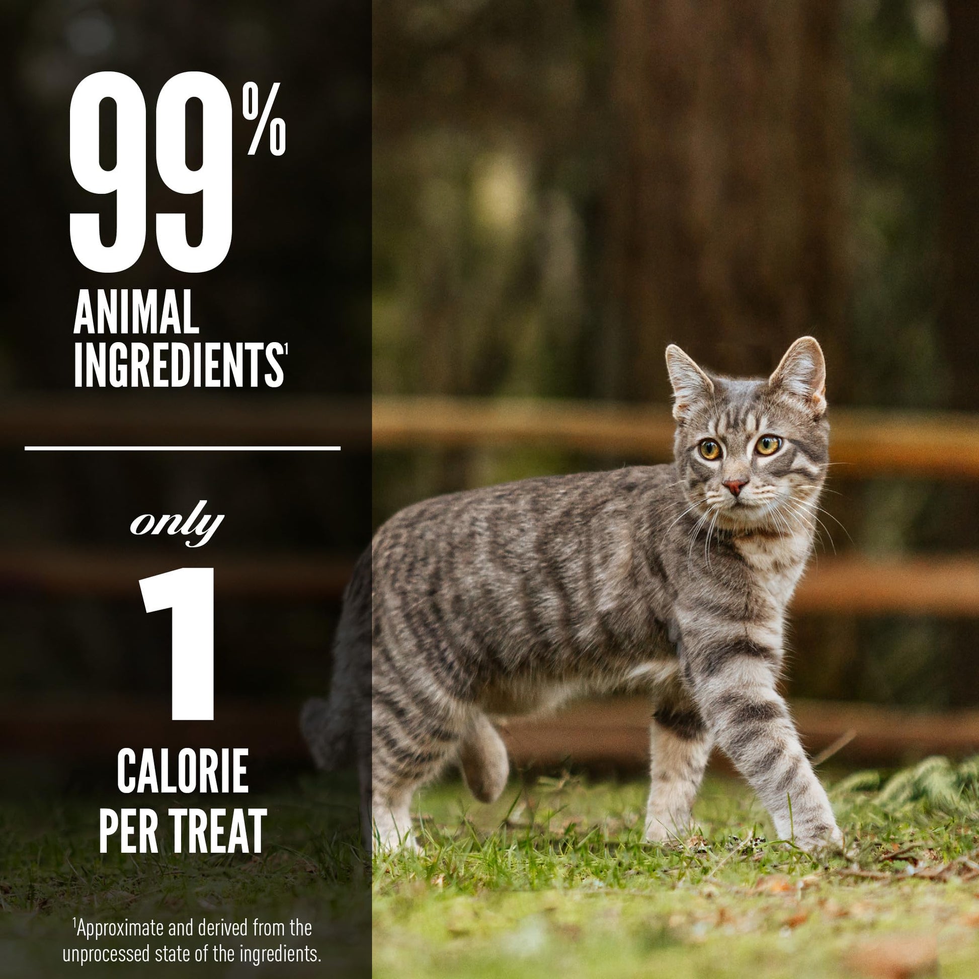 Orijen Tundra Freeze Dried Cat Treats, Grain Free Treats For Cats, Wholeprey Ingredients, 1.25Oz
