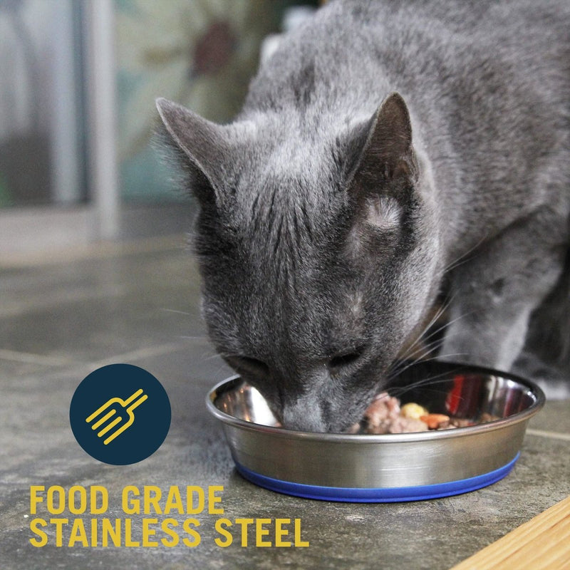 Our Pets DuraPet Stainless Steel Non - Slip Cat Food Bowl - Cat Water Bowl - Holds up to 1 Cup of Dry Food - Easy to Clean