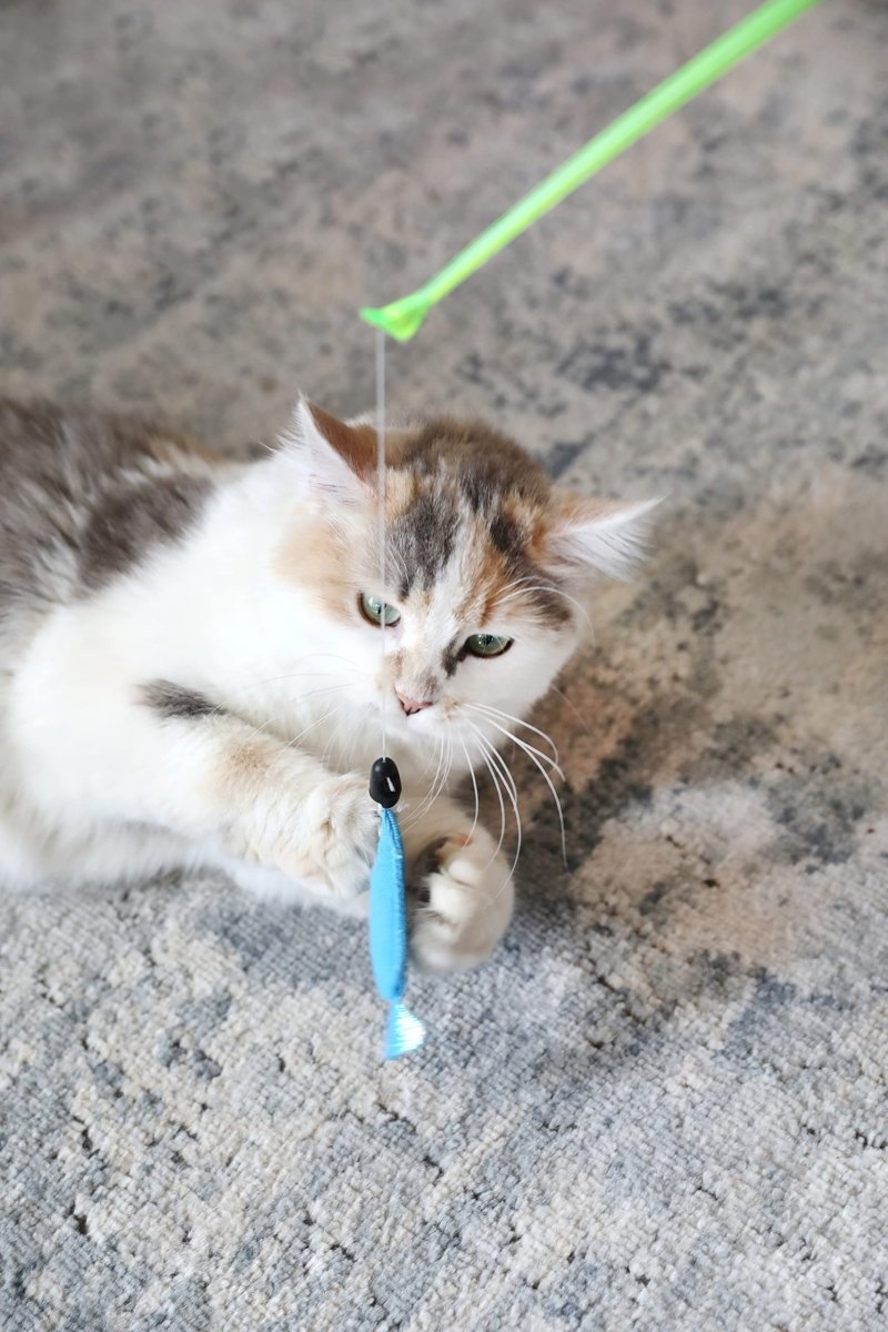 Go Fish! Fishing Rod With Catnip Fish