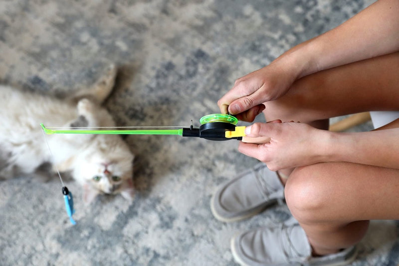 Our Pet's Go Fish Cat Fishing Pole Cat Toy with Catnip Fish Teaser and Rod Interactive Cat Wand Toys for Indoor Cats