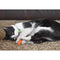 OurPet's Catnip Filled Carrot Cat Toy - 24 Karat - 100 - Percent North American