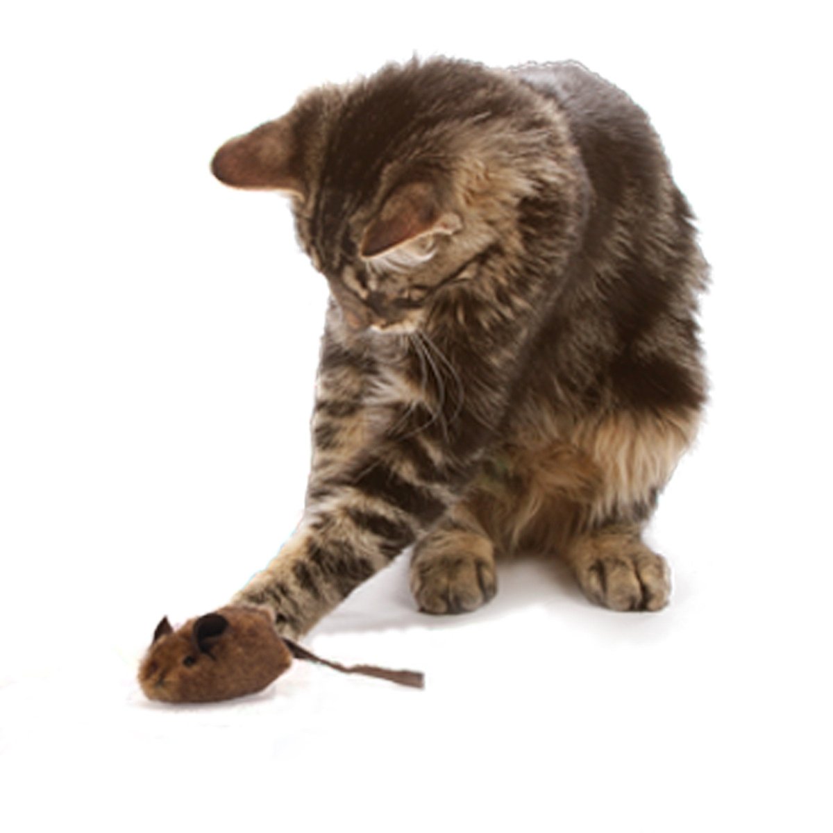 OurPets Play - N - Squeak Mouse Hunter Cat Toy with Real Mouse Electronic Sound