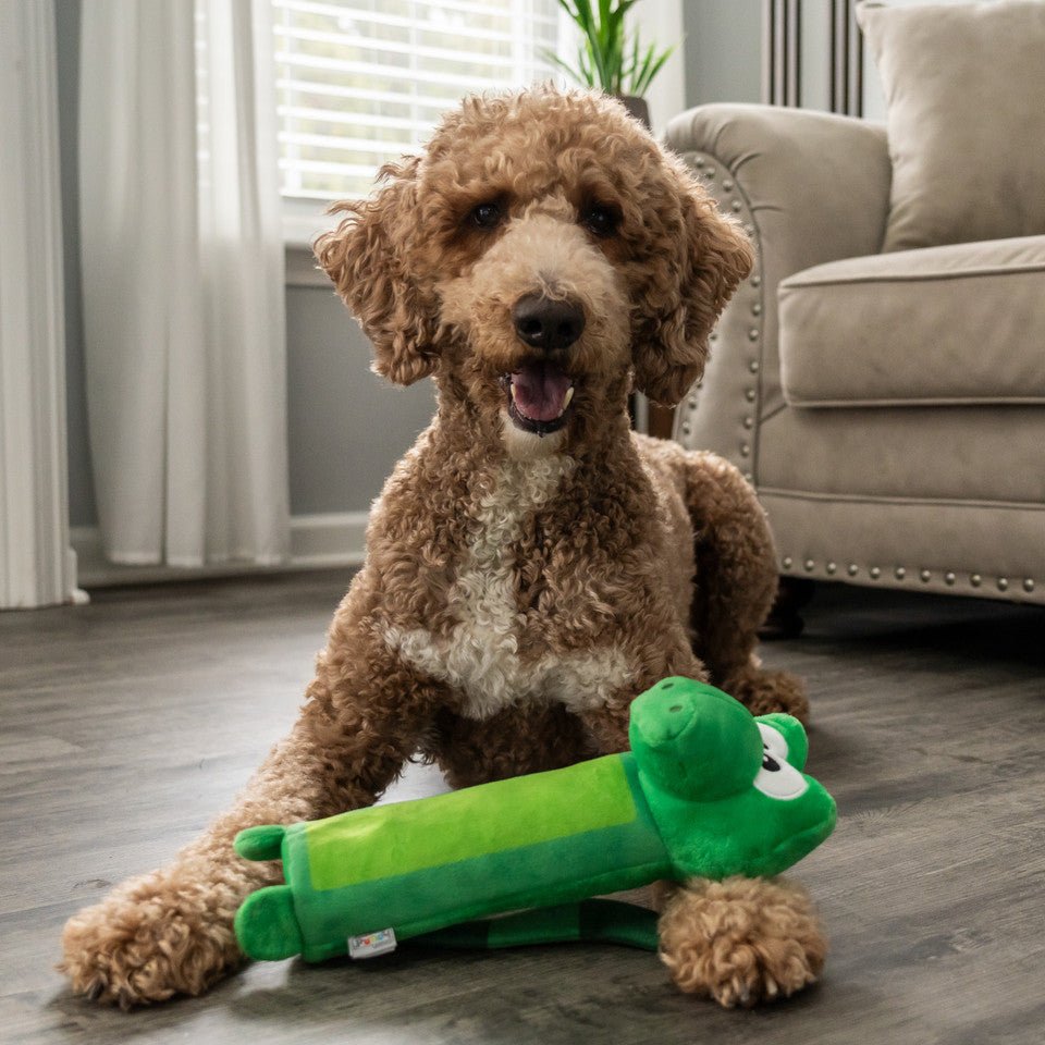 Outward bound bottle bros dog toy gator