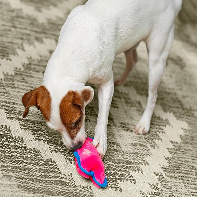 Outward hound durablez durable dog toy