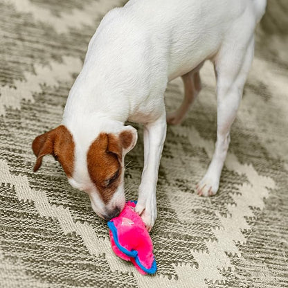 Outward hound durablez durable dog toy