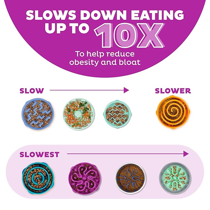 Outward hound fun feeder slo bowl 2 cups