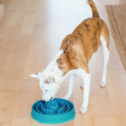 Outward Hound Fun Feeder Slo Bowl, Slow Feeder Dog Bowl, Large/Regular, Turquoise