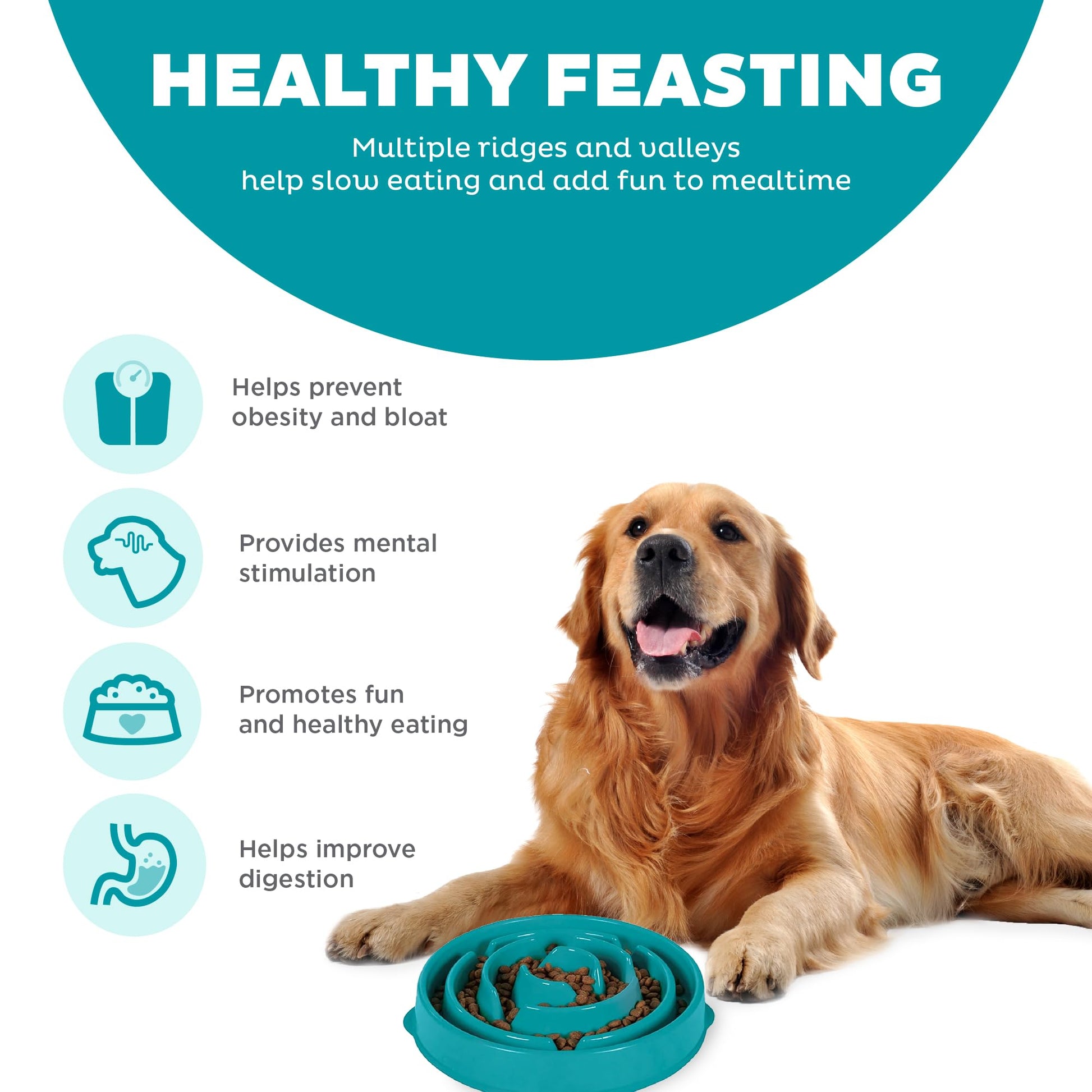 Outward Hound Fun Feeder Slo Bowl, Slow Feeder Dog Bowl, Large/Regular, Turquoise