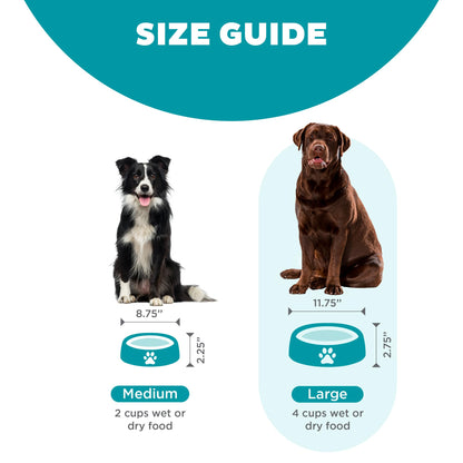 Outward Hound Fun Feeder Slo Bowl, Slow Feeder Dog Bowl, Large/Regular, Turquoise