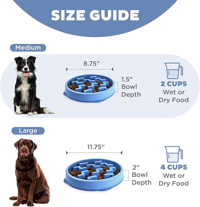Outward hound fun feeder slow bowl