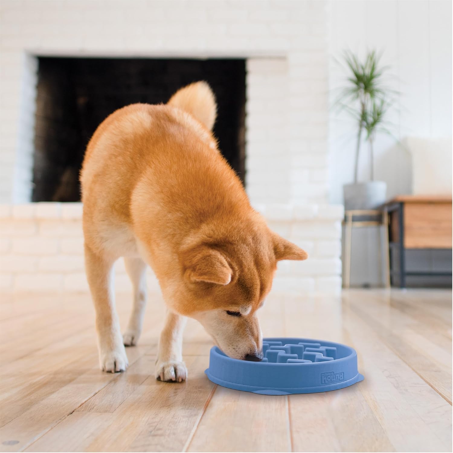 Outward hound fun feeder slow bowl