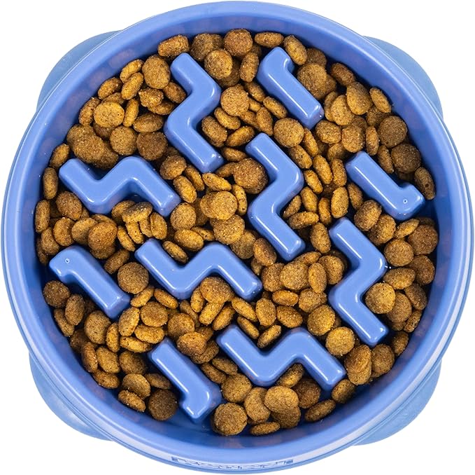 Outward hound fun feeder slow bowl