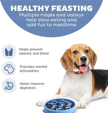 Outward hound fun feeder slow bowl