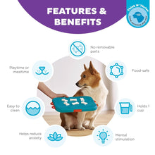 Outward Hound Nina Ottosson Dog Casino Dog Puzzle Interactive Treat Puzzle Dog Enrichment Dog Toy, Level 3 Advanced, Turquoise