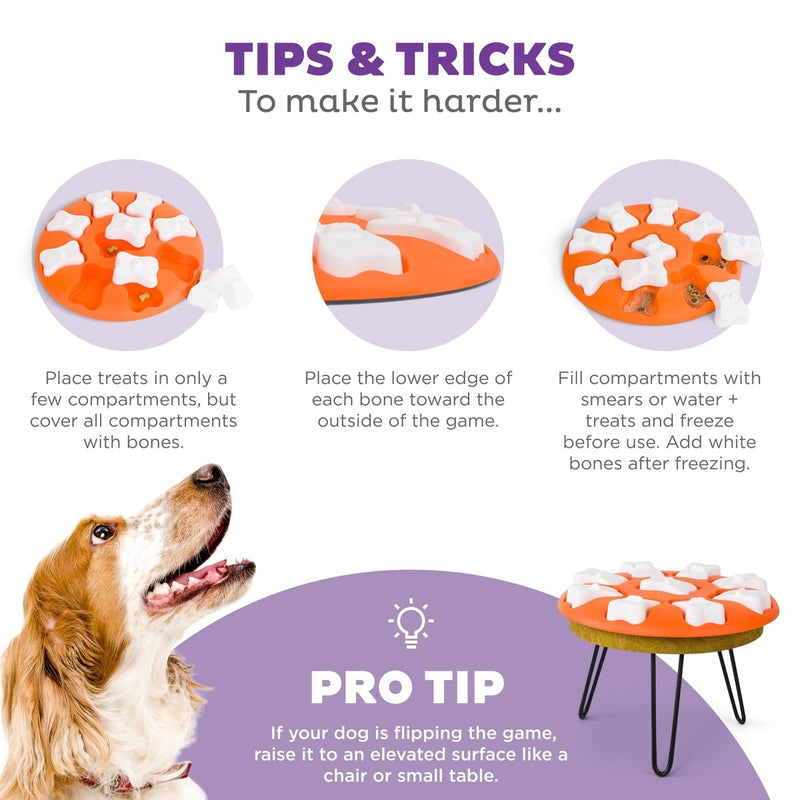 Outward Hound Nina Ottosson Dog Smart Dog Puzzle Interactive Treat Puzzle Dog Enrichment Dog Toy, Level 1 Beginner, Orange