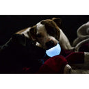 Outward Hound Orbee - Tuff Strobe Ball Glow - in - The - Dark Light Up LED Dog Toy