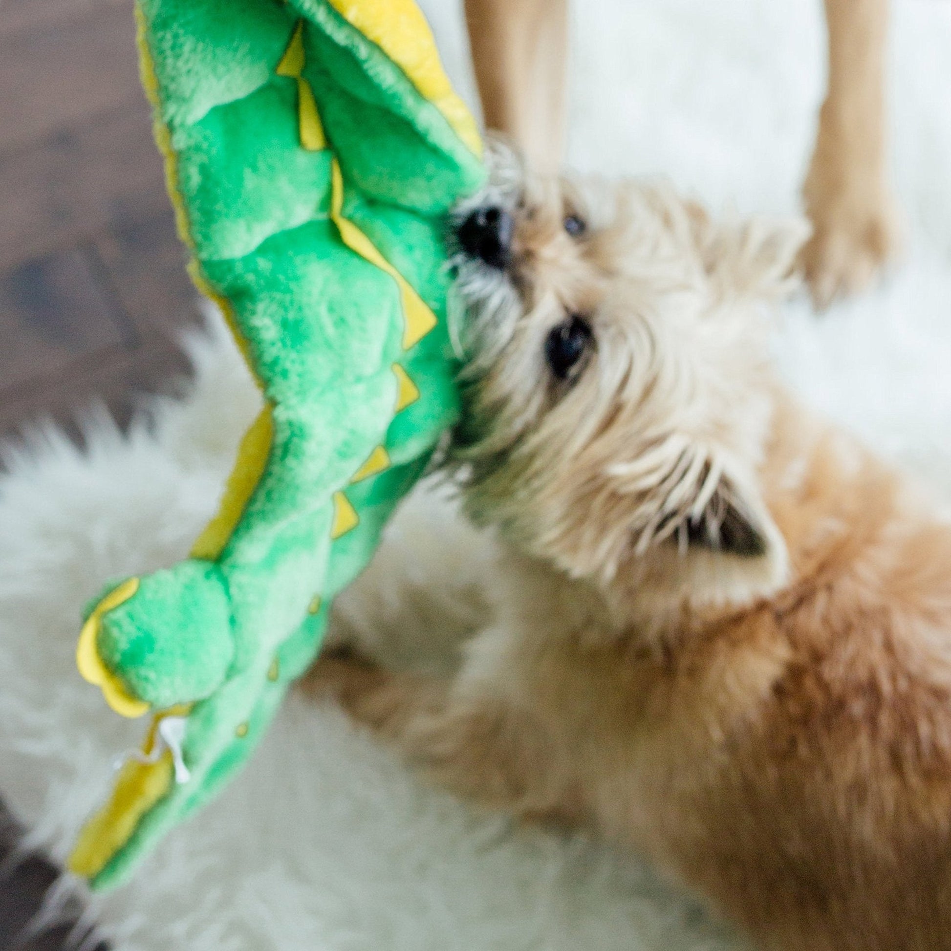 Outward Hound Squeaker Matz Plush Gator Dog Toy | Small Size