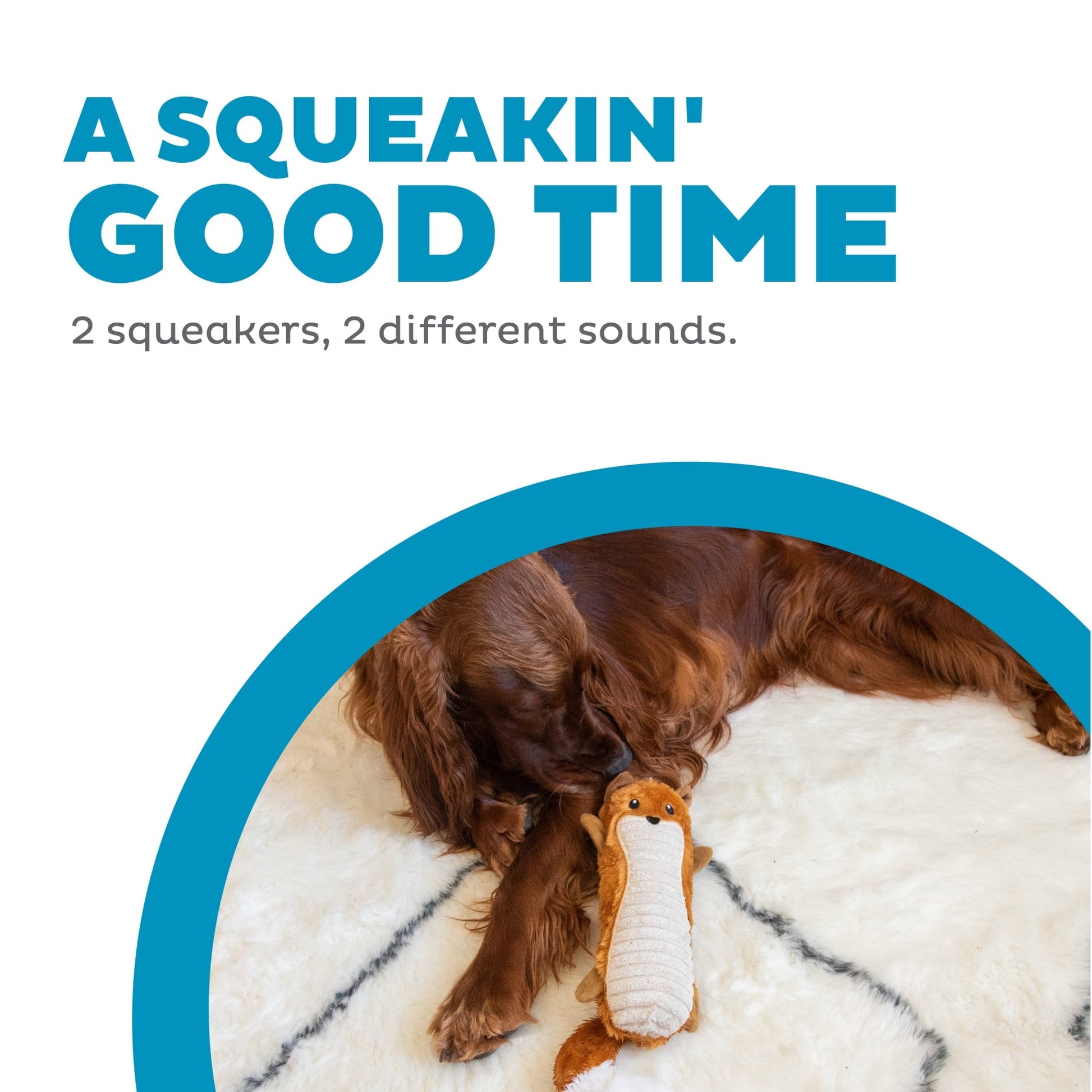 Outward hound stuffing free two squeakers dog toy