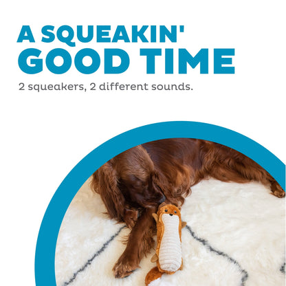 Outward hound stuffing free two squeakers dog toy