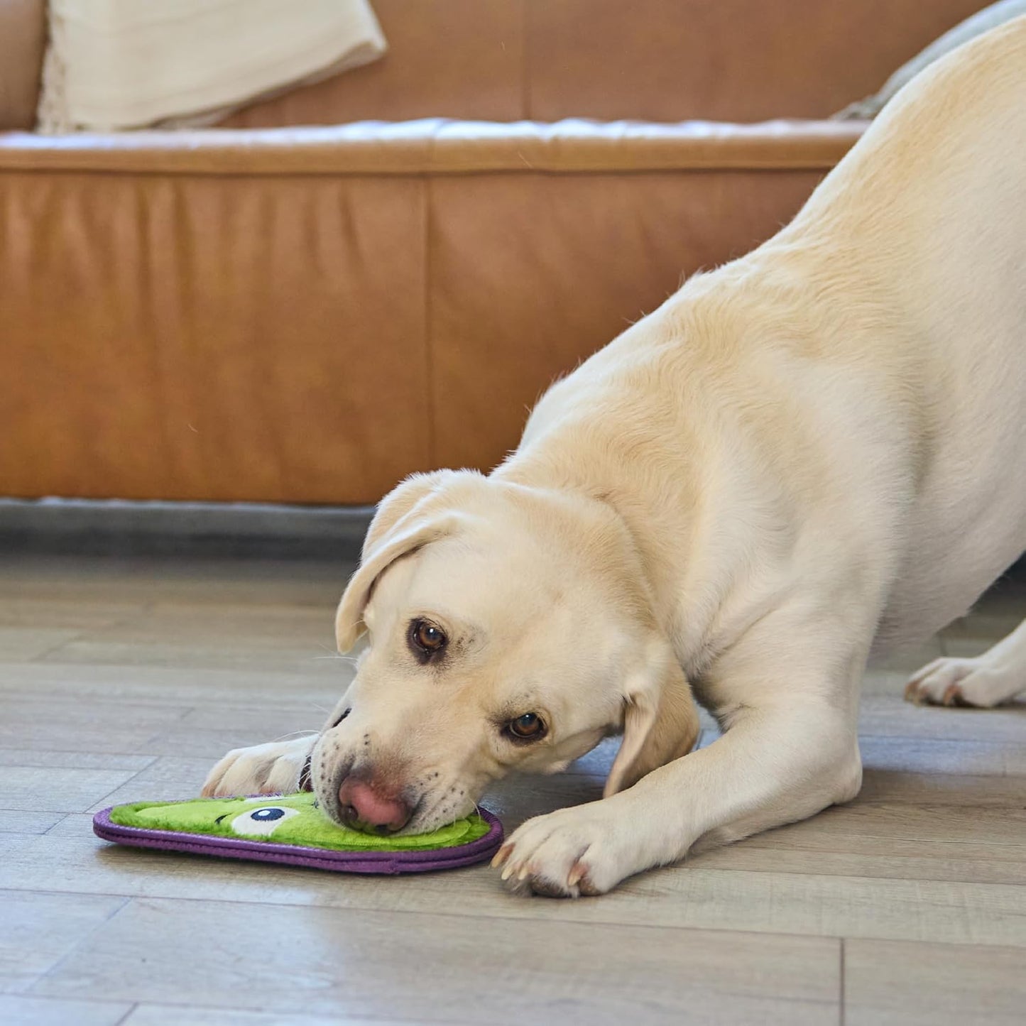 Outward Hound Tough skinz avocado dog toy