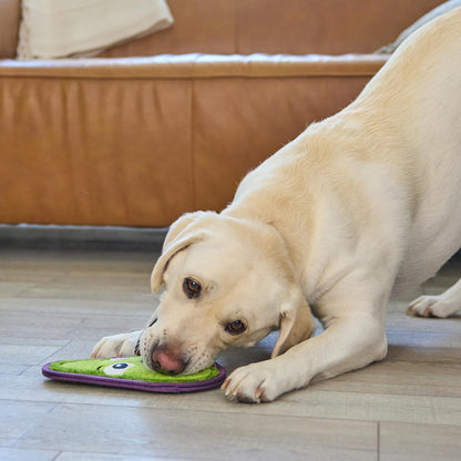 Outward Hound Tough skinz avocado dog toy