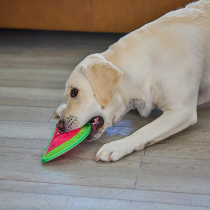 Outward hound tough skinz watermelon dog toy