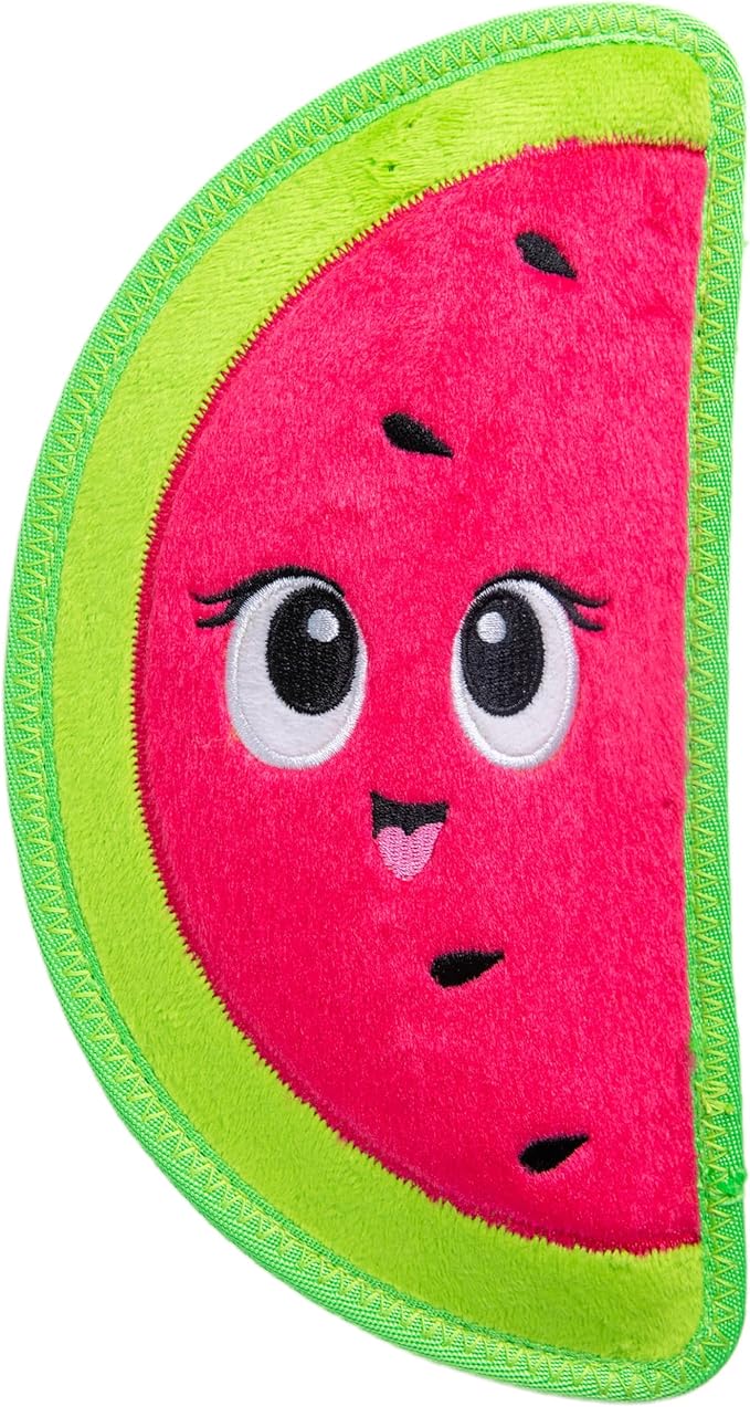 Outward hound tough skinz watermelon dog toy