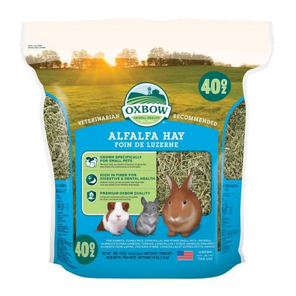 Oxbow Animal Health Alfalfa Hay - All Natural Hay For Young, Pregnant, Or Nursing Small Pets - 40 Oz.