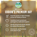 Oxbow Animal Health Orchard Grass Hay For Small Animals, 40 oz.