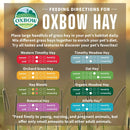 Oxbow Animal Health Orchard Grass Hay For Small Animals, 40 oz.