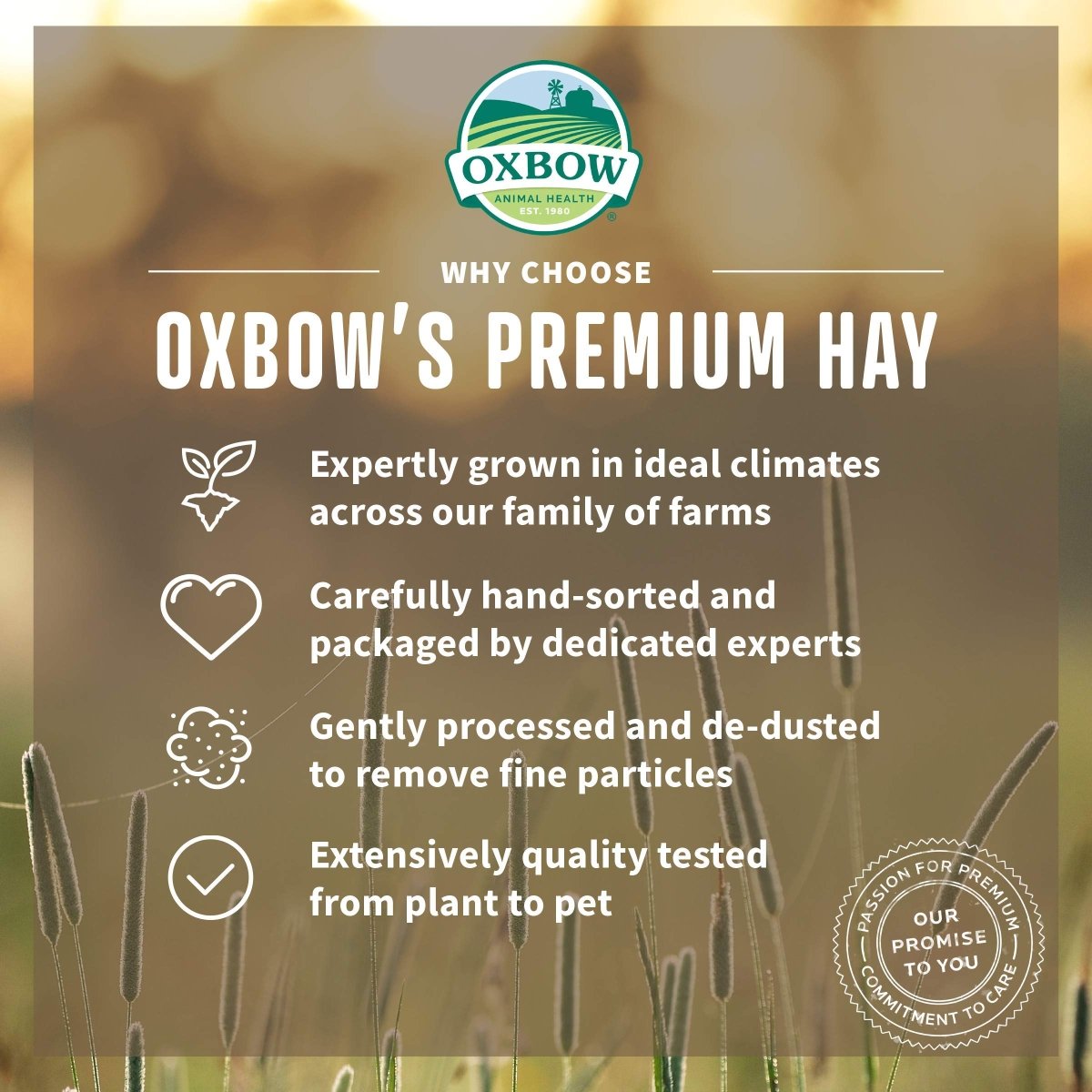 Oxbow Animal Health Western Timothy Hay For Small Animals, 40 Oz