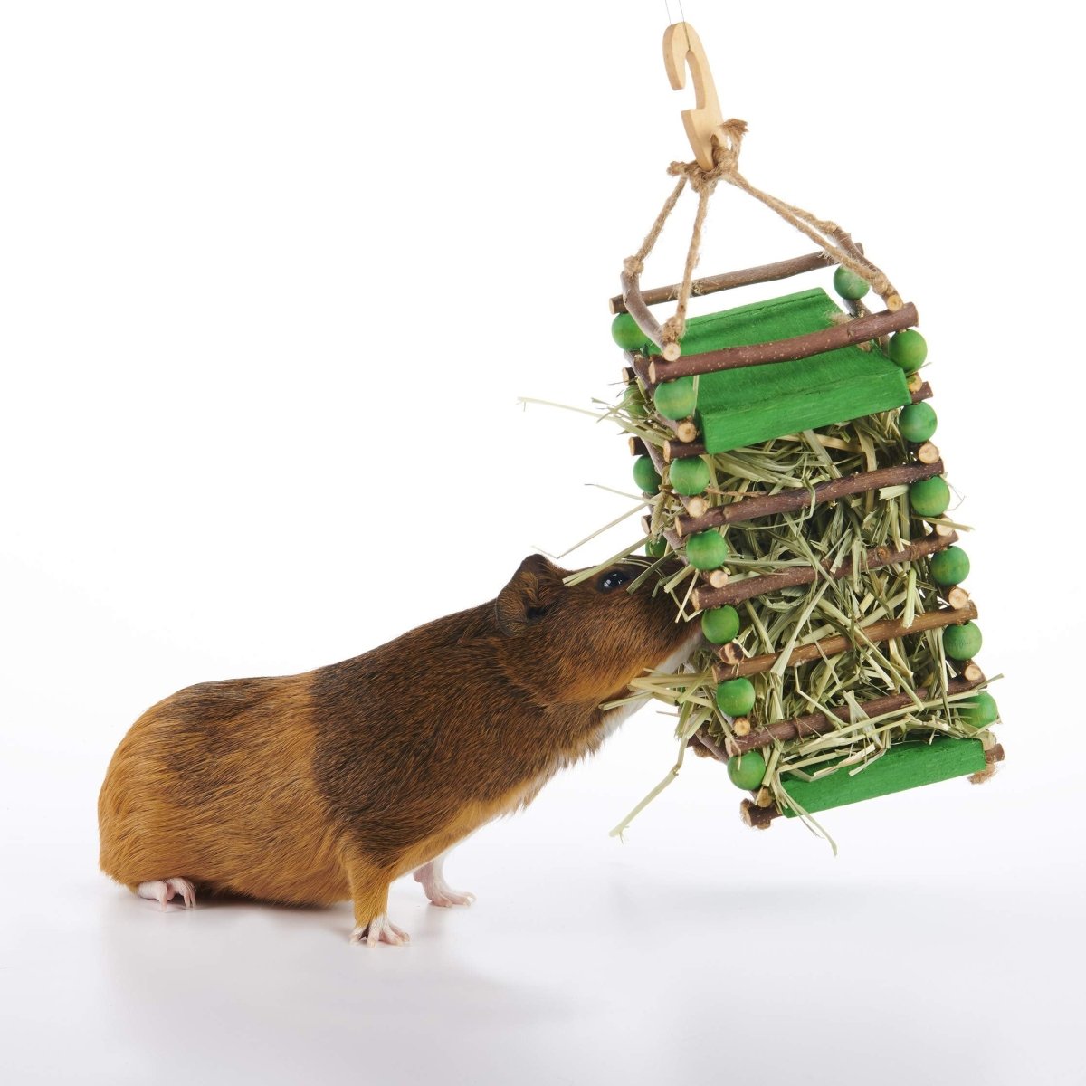 Oxbow Enriched Life Apple Stick Hay Feeder For Small Animal