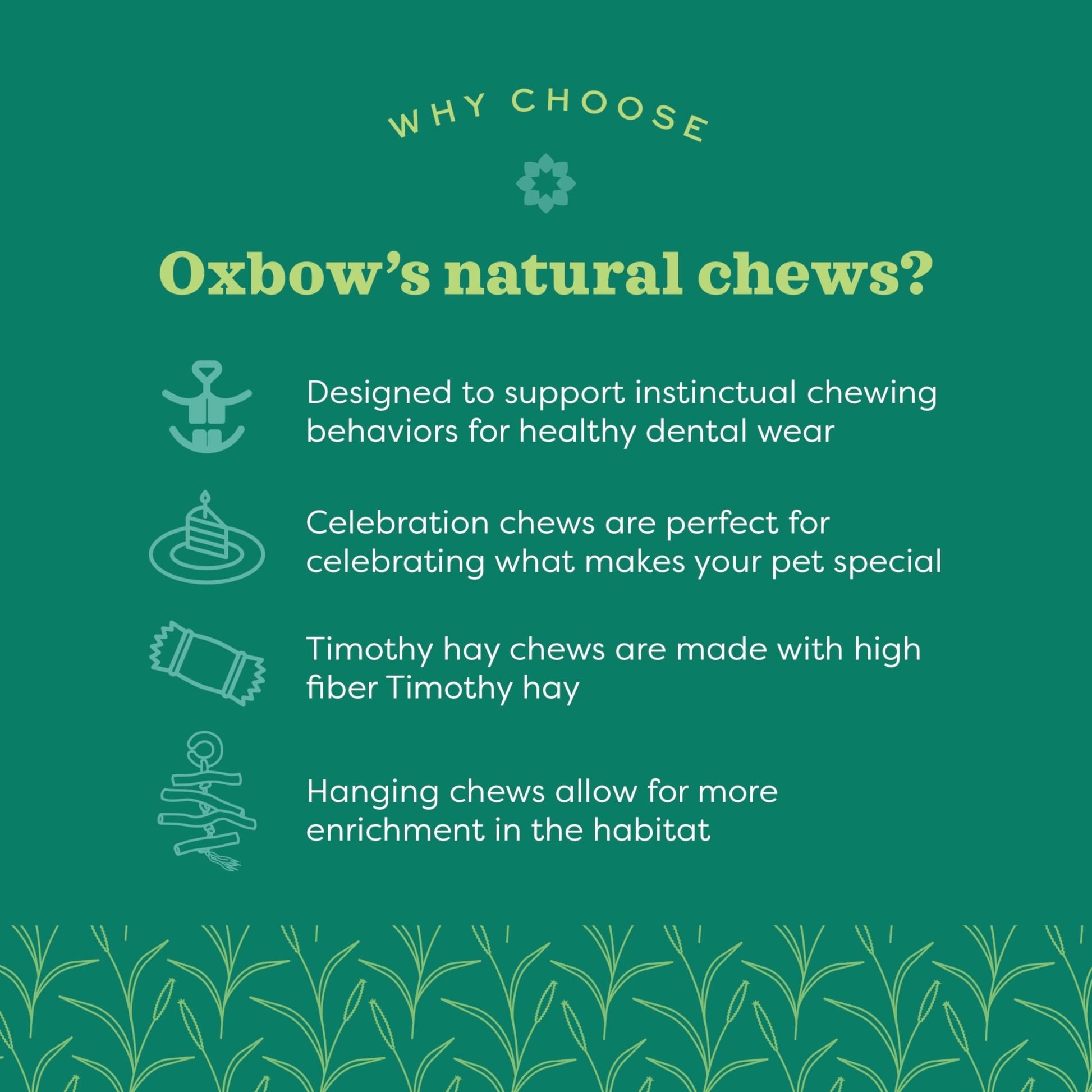 Oxbow Enriched Life Birthday Party Pack | Small Pet Toy - Great For Guinea Pigs, Rabbits