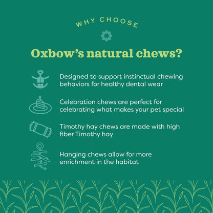 Oxbow Enriched Life Birthday Party Pack | Small Pet Toy - Great For Guinea Pigs, Rabbits