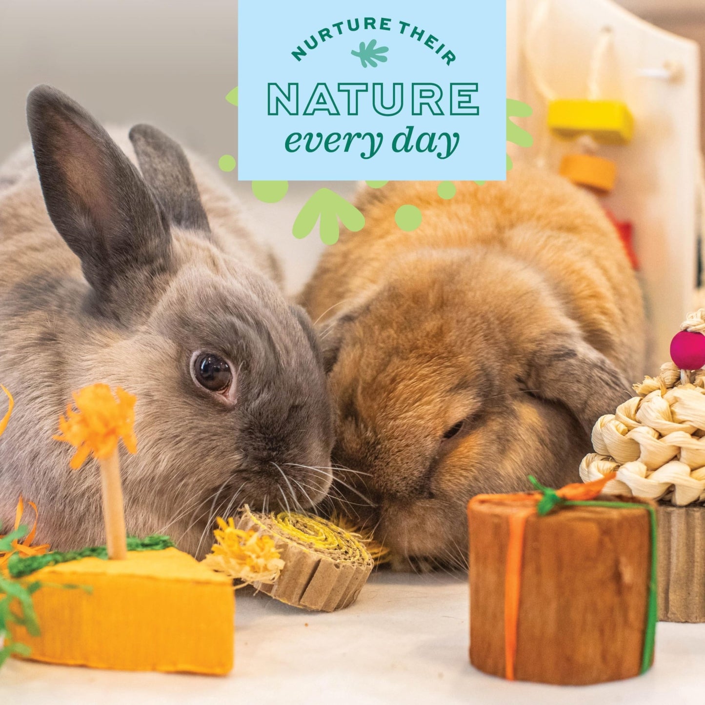 Oxbow Enriched Life Birthday Party Pack | Small Pet Toy - Great For Guinea Pigs, Rabbits
